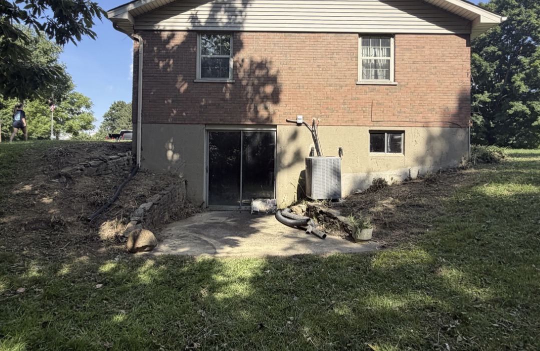 After: Rear Yard Brush Removal