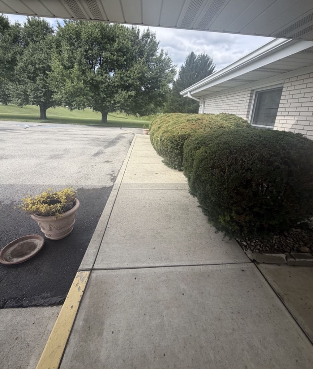 After: Sidewalk Pressure Washing