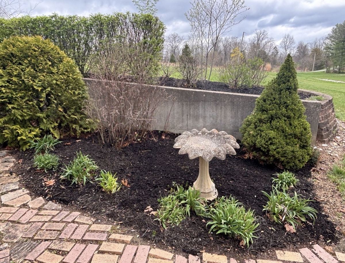 After: Bed Cleanout and Mulching