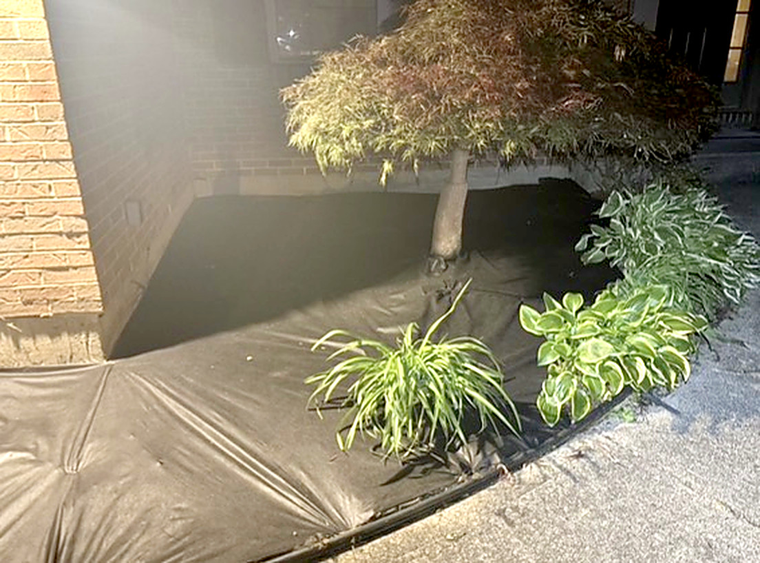After: Front Bed Cleanout
