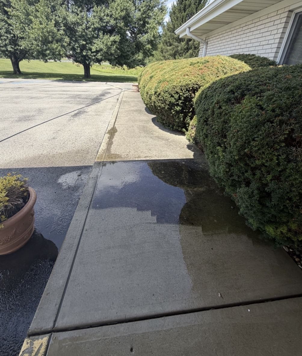 Before: Sidewalk Pressure Washing