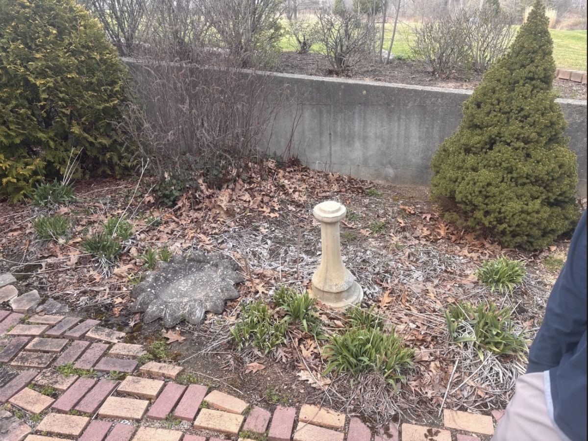 Before: Bed Cleanout and Mulching