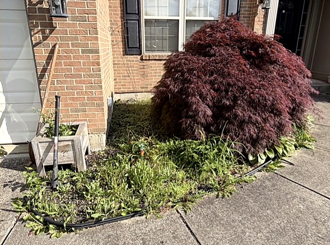 Before: Front Bed Cleanout