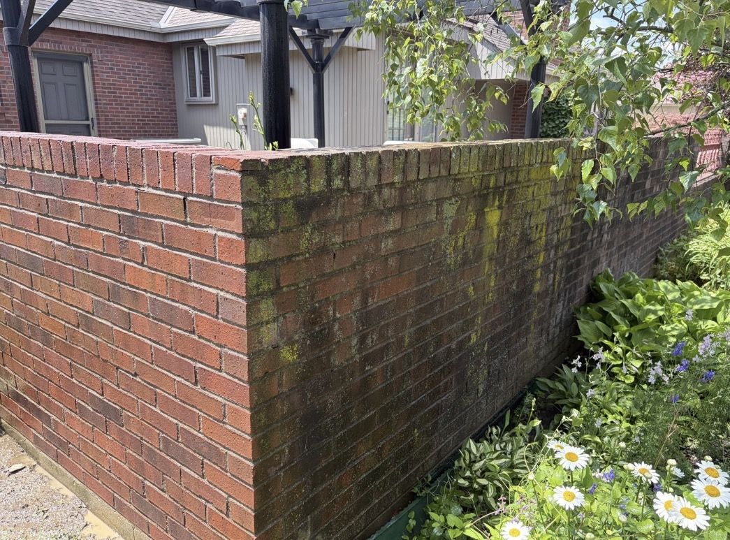 Before: Brick Wall Pressure Washing