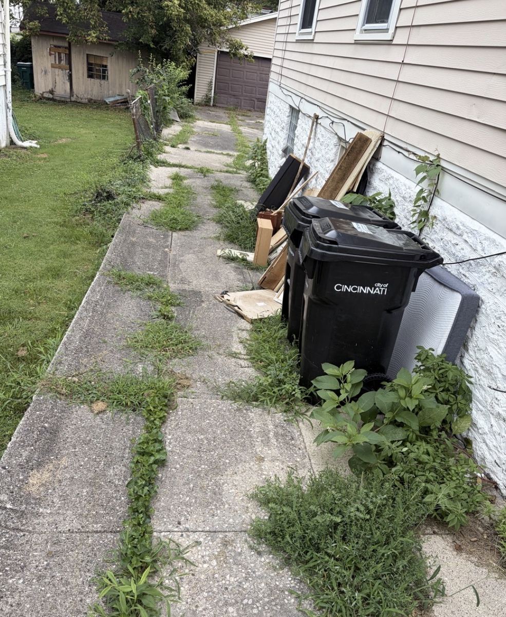Before: Walkway Weed Clearing