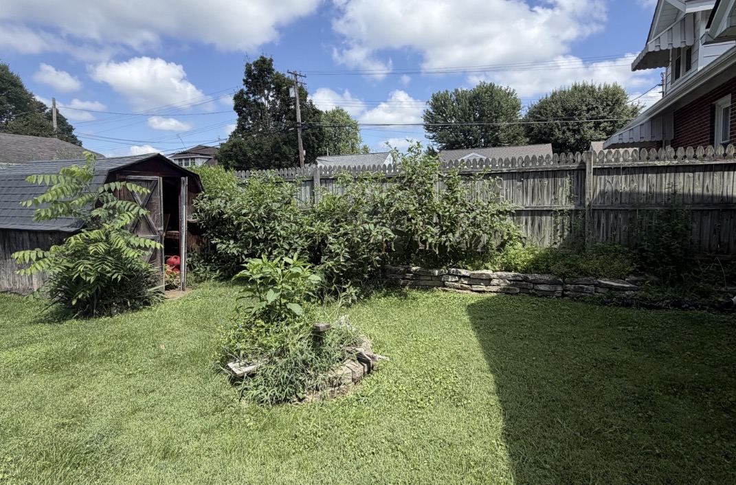 Before: Backyard Brush Removal