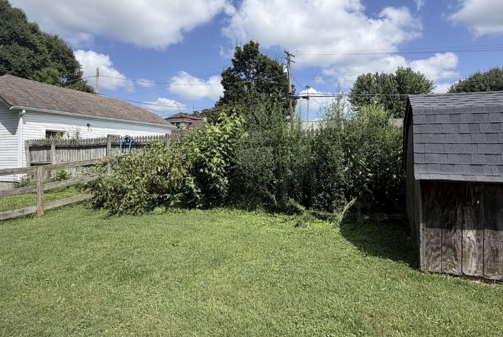 Before: Fence Line Cleanup