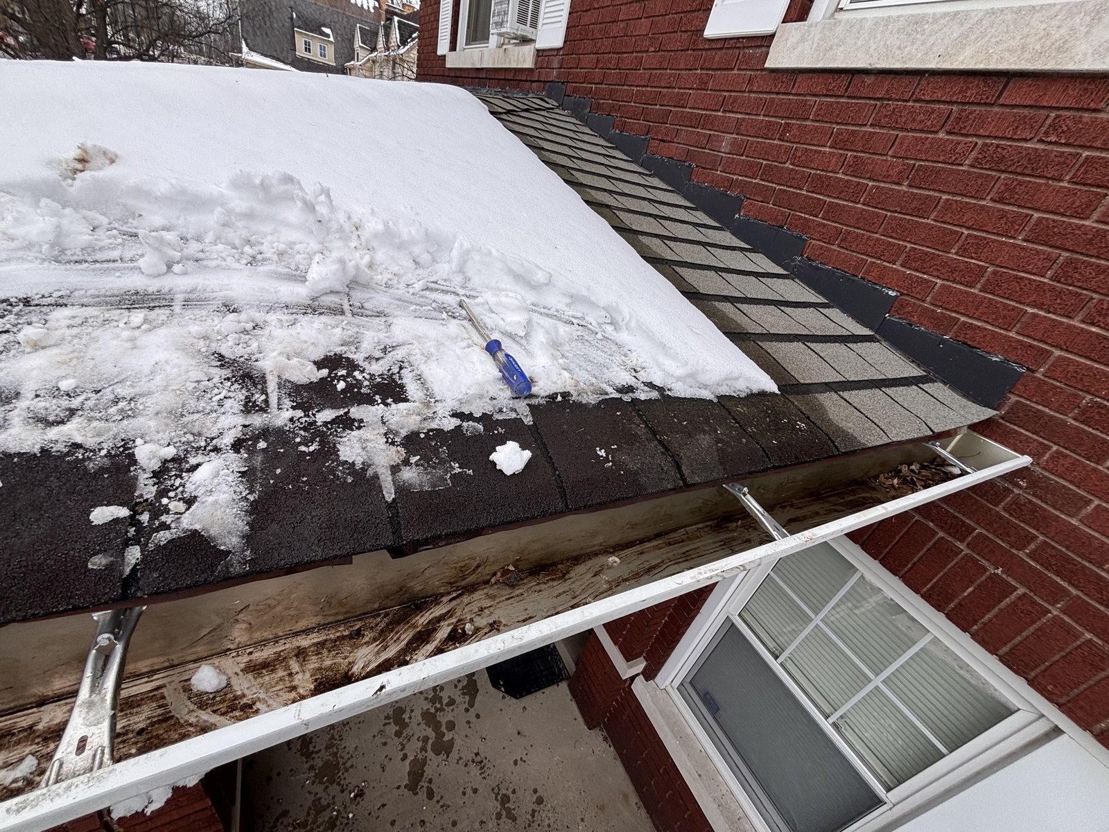 Gutter Cleaning